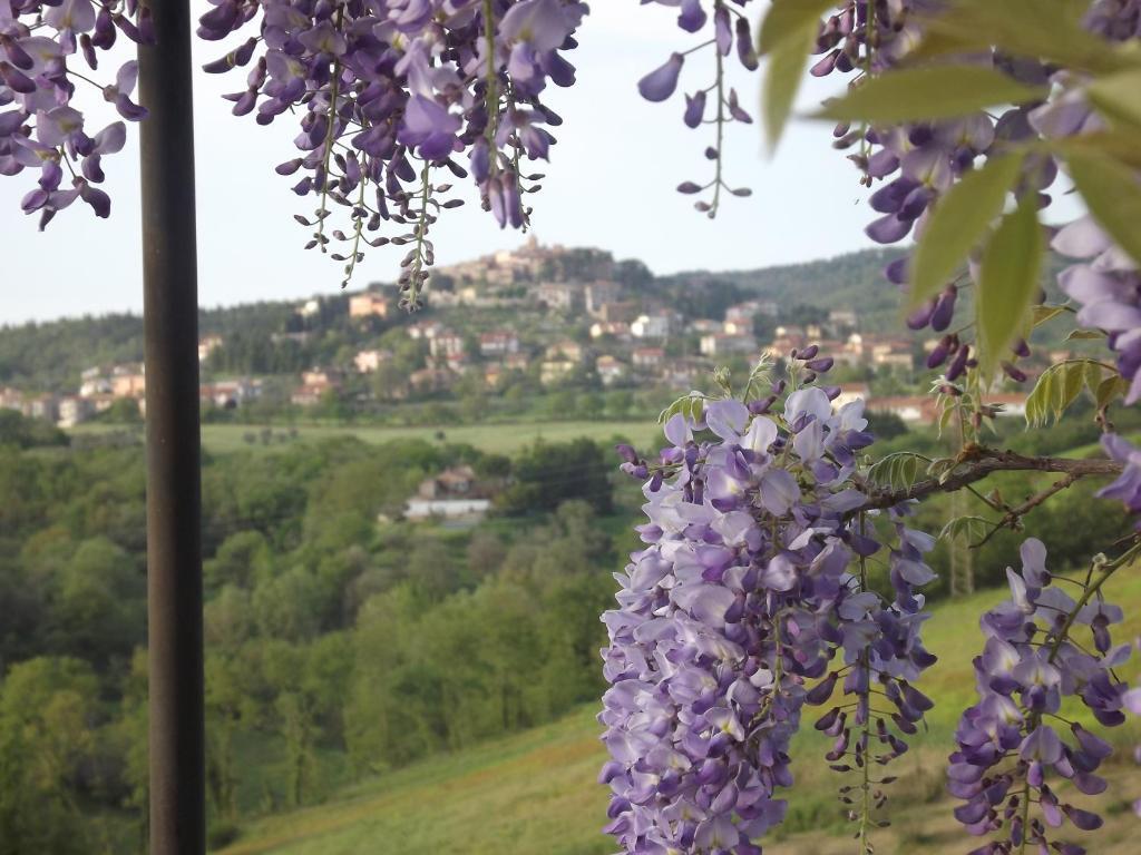 Agriturismo Gattogiallo Montegabbione Cameră foto