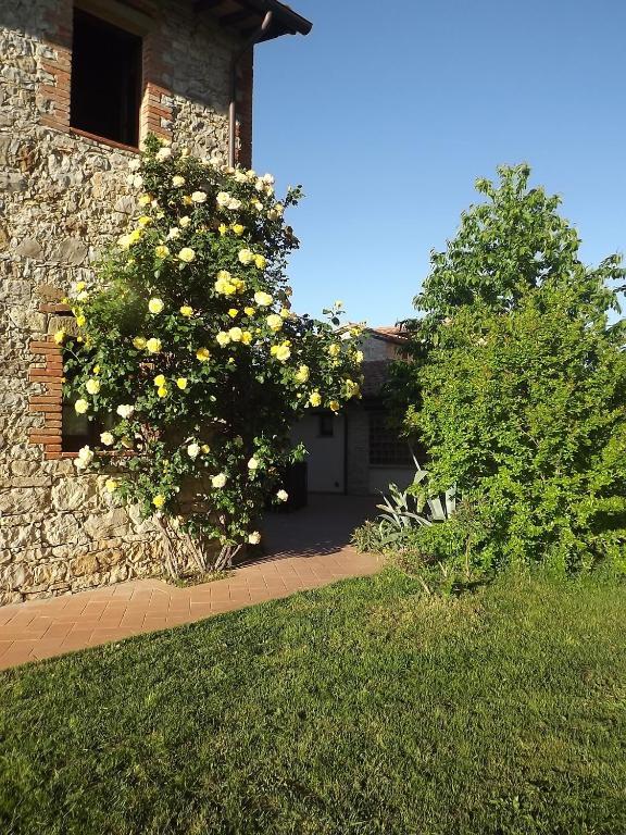 Agriturismo Gattogiallo Montegabbione Exterior foto